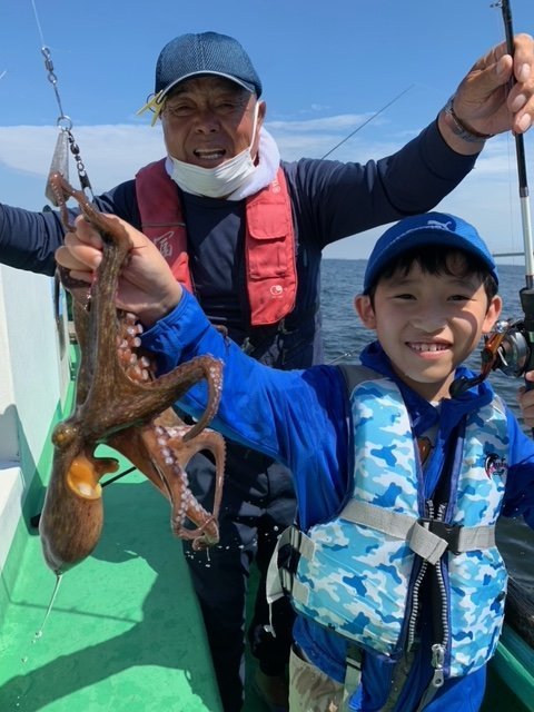 東京都で釣れたヒイラギの最新釣果 釣り情報 22年11月