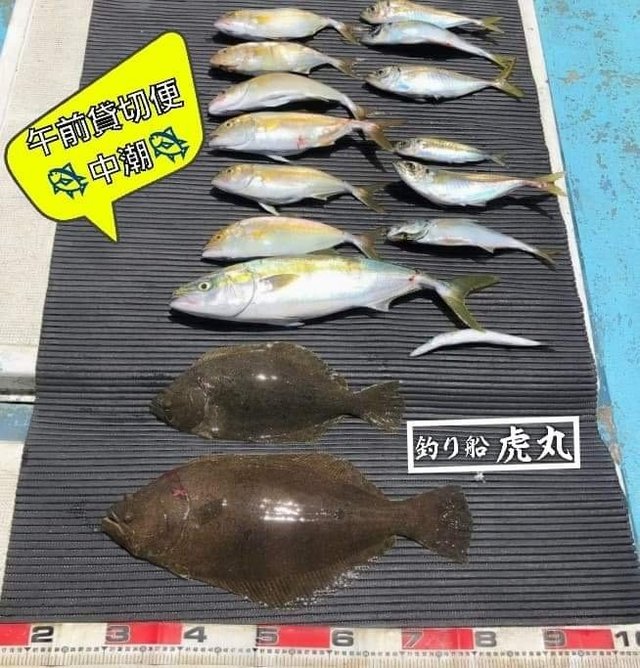 和歌山県で釣れたアカカマスの最新釣果 釣り情報 22年10月 和歌山県で釣れたアカカマスの最新釣果 釣り情報 22年10月