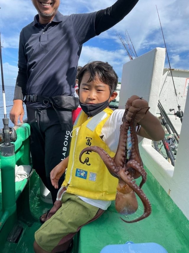 東京都で釣れたイイダコの最新釣果 釣り情報 22年11月