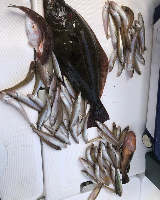 30号7段 スチール段 雛人形 弥生 30号7段 スチール段 雛人形 弥生