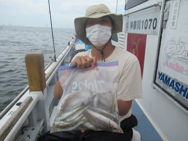 神奈川県で釣れたイイダコの最新釣果 釣り情報 22年12月