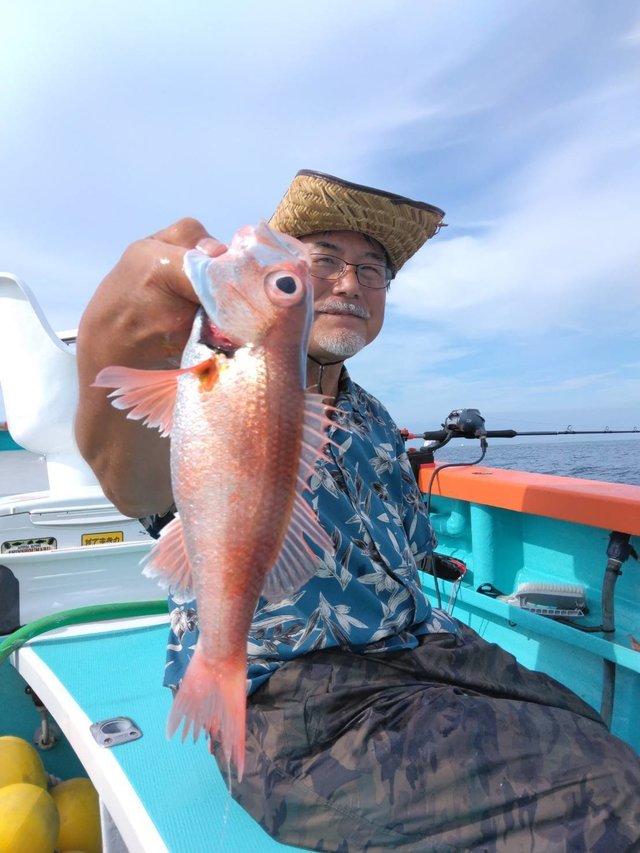 ウケグチメバルを関東で釣った最新釣果 釣り情報 22年10月