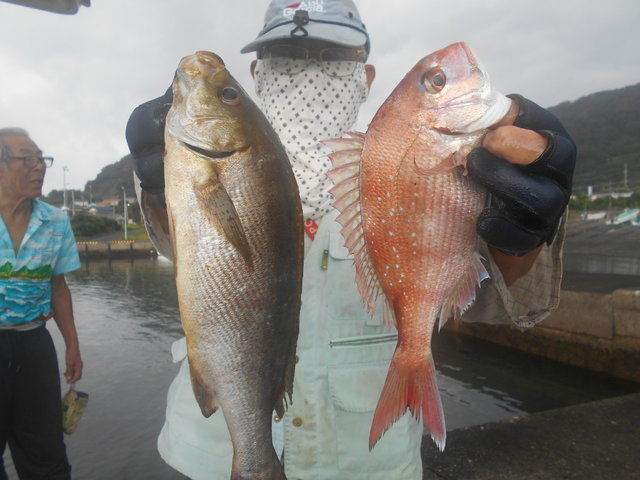 22年9月最新 八平丸 千葉県 の最新釣果情報