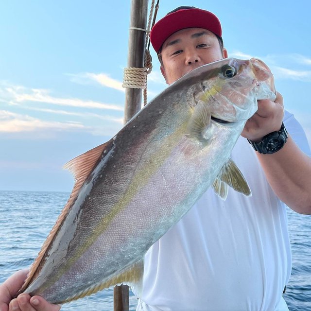 九州 沖縄で釣れたカンパチの最新釣果 釣り情報 22年9月 九州 沖縄で釣れたカンパチの最新釣果 釣り情報 22年9月