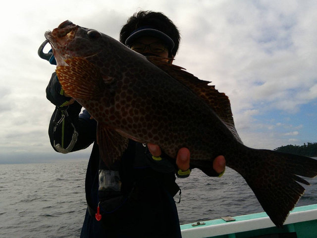 22年9月最新 水弘丸 静岡県 の最新釣果情報