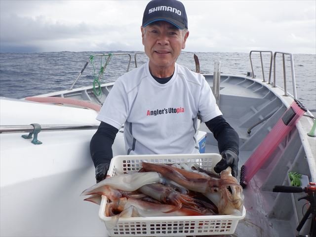 愛知県で釣れたスルメイカの最新釣果 釣り情報 22年11月