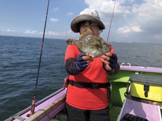 東京都で釣れたカワハギの最新釣果 釣り情報 22年9月