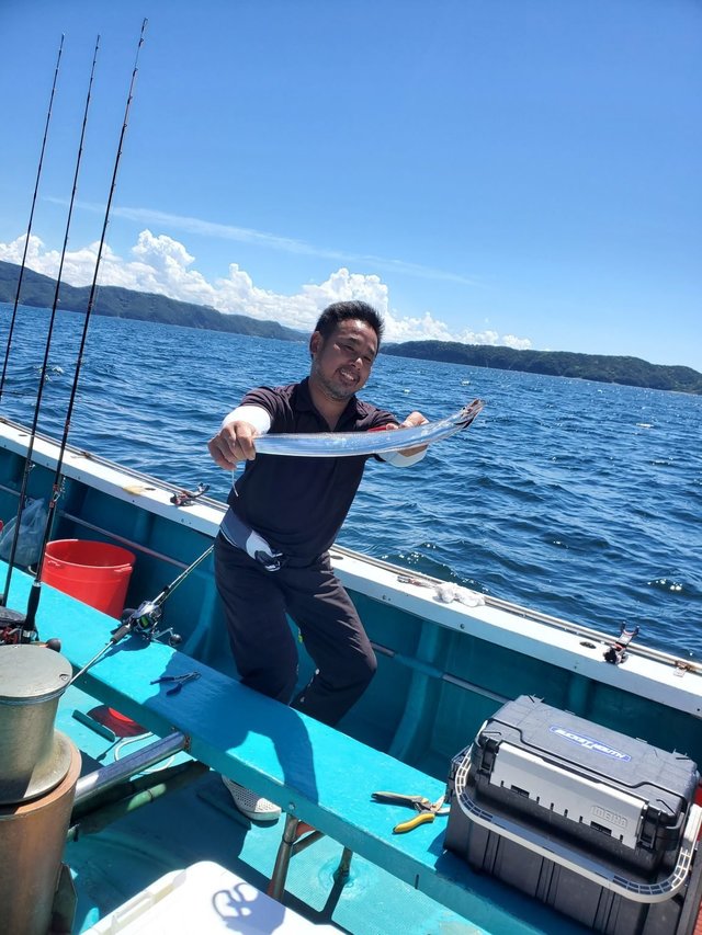 大阪府で釣れたマダコの最新釣果 釣り情報 22年10月