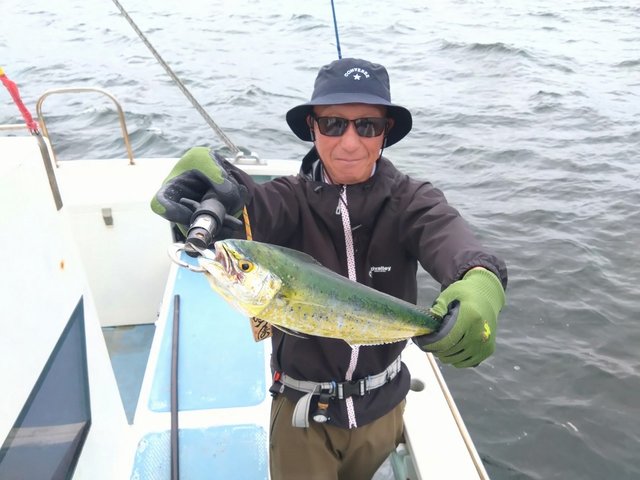 東京都で釣れたシイラの最新釣果 釣り情報 22年10月