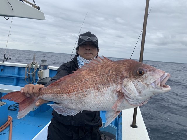 関東で釣れたホウボウの最新釣果 釣り情報 22年12月