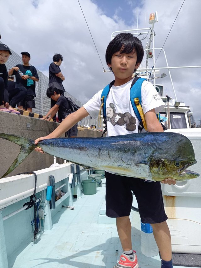 沖縄県で釣れたシイラの最新釣果 釣り情報 23年1月