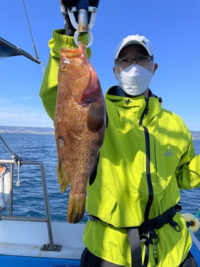 茨城県で釣れたキジハタの最新釣果 釣り情報 23年1月
