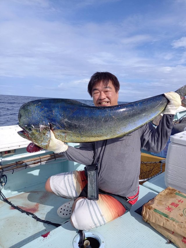 沖縄県で釣れたシイラの最新釣果 釣り情報 23年1月
