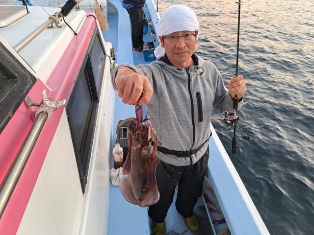 静岡県で釣れたアオリイカの最新釣果 釣り情報 22年11月