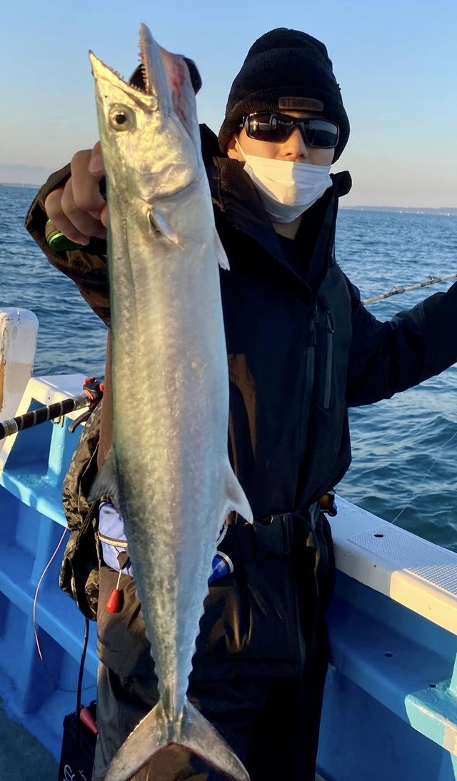 静岡県で釣れたサワラの最新釣果 釣り情報 22年11月