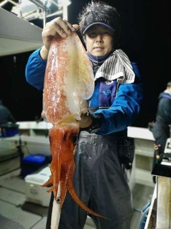 福井県で釣れたスルメイカの最新釣果 釣り情報 23年1月