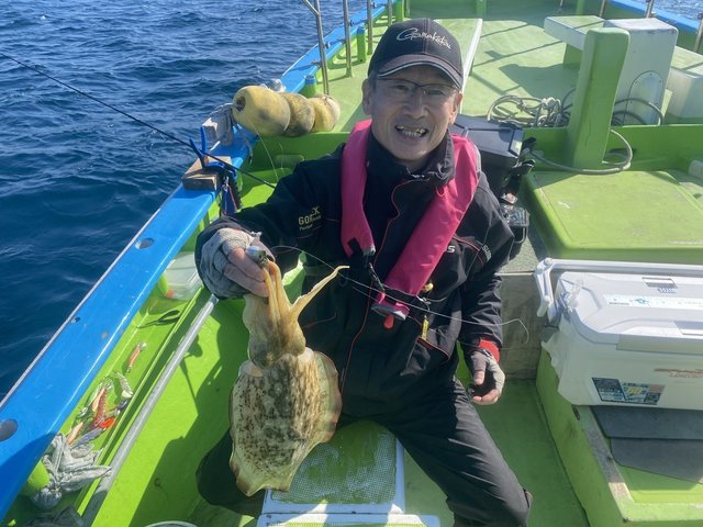 神奈川県で釣れたカミナリイカの最新釣果 釣り情報 22年11月