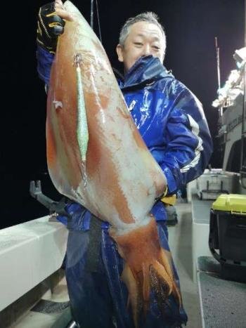 福井県で釣れたスルメイカの最新釣果 釣り情報 23年1月