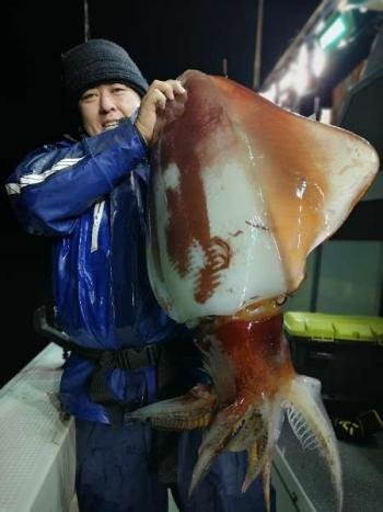 福井県で釣れたスルメイカの最新釣果 釣り情報 23年1月