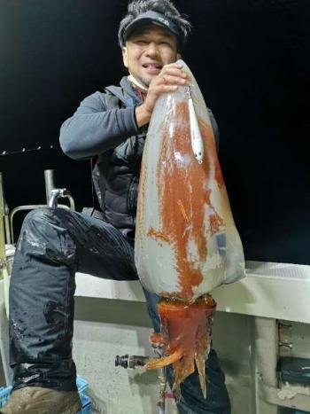 福井県で釣れたソデイカの最新釣果 釣り情報 22年11月