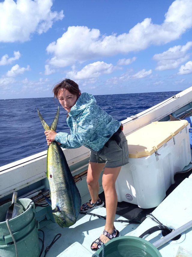 沖縄県で釣れたシイラの最新釣果 釣り情報 23年1月