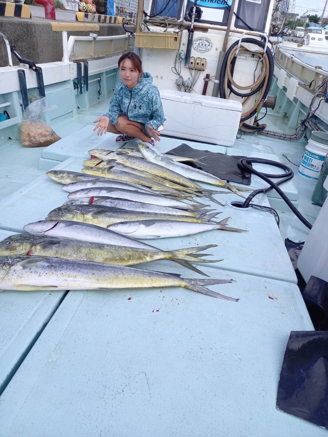 沖縄県で釣れたシイラの最新釣果 釣り情報 23年1月