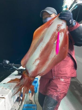 福井県で釣れたソデイカの最新釣果 釣り情報 22年11月