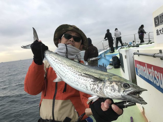 東京都で釣れたサワラの最新釣果、釣り情報【2023年2月】