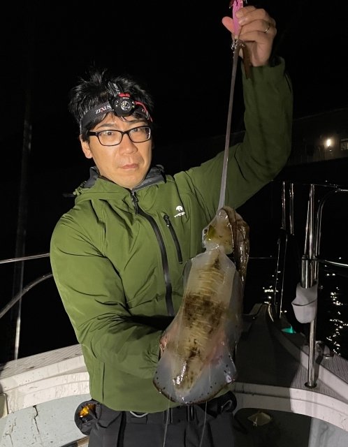 広島県で釣れたアオリイカの最新釣果 釣り情報 22年12月