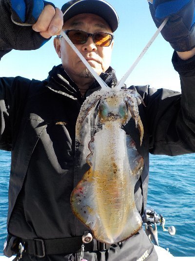 徳島県で釣れたアオリイカの最新釣果 釣り情報 23年1月 徳島県で釣れたアオリイカの最新釣果 釣り情報 23年1月