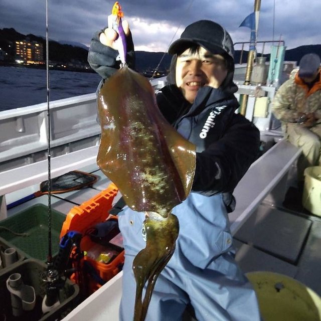 静岡県で釣れたアオリイカの最新釣果 釣り情報 22年12月