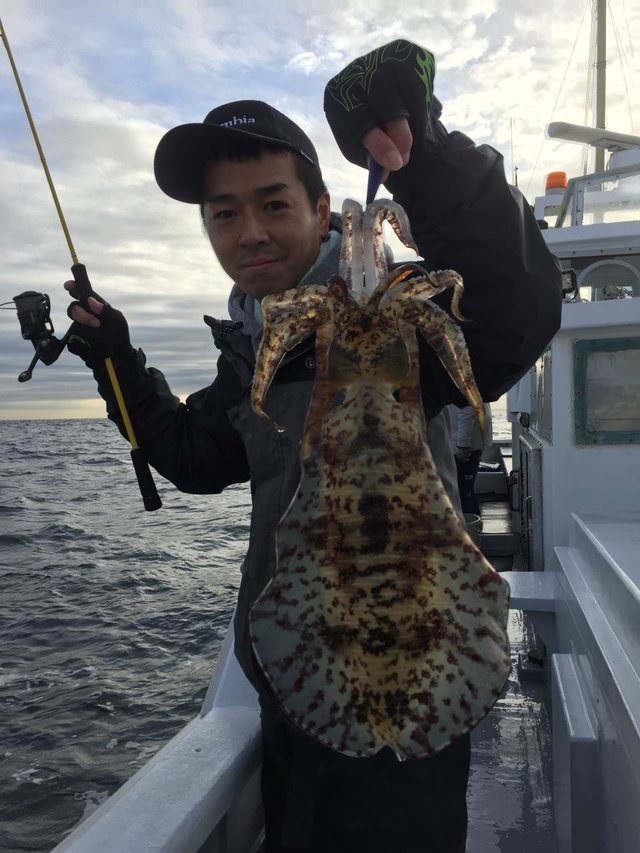 静岡県で釣れたアオリイカの最新釣果 釣り情報 22年12月