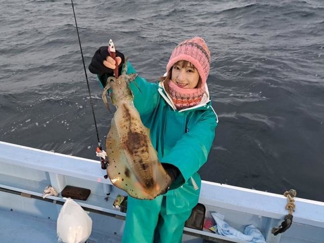静岡県で釣れたアオリイカの最新釣果 釣り情報 22年12月