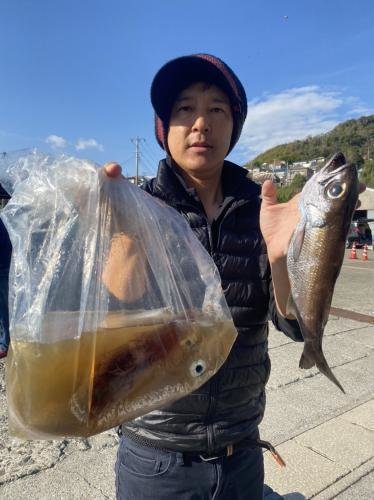 千葉県で釣れたヤリイカの最新釣果 釣り情報 22年12月 千葉県で釣れたヤリイカの最新釣果 釣り情報 22年12月