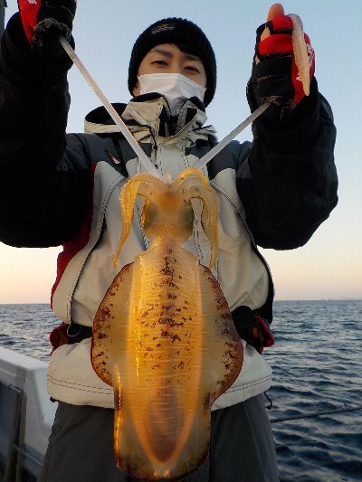 徳島県で釣れたシロサバフグの最新釣果 釣り情報 23年1月 徳島県で釣れたシロサバフグの最新釣果 釣り情報 23年1月