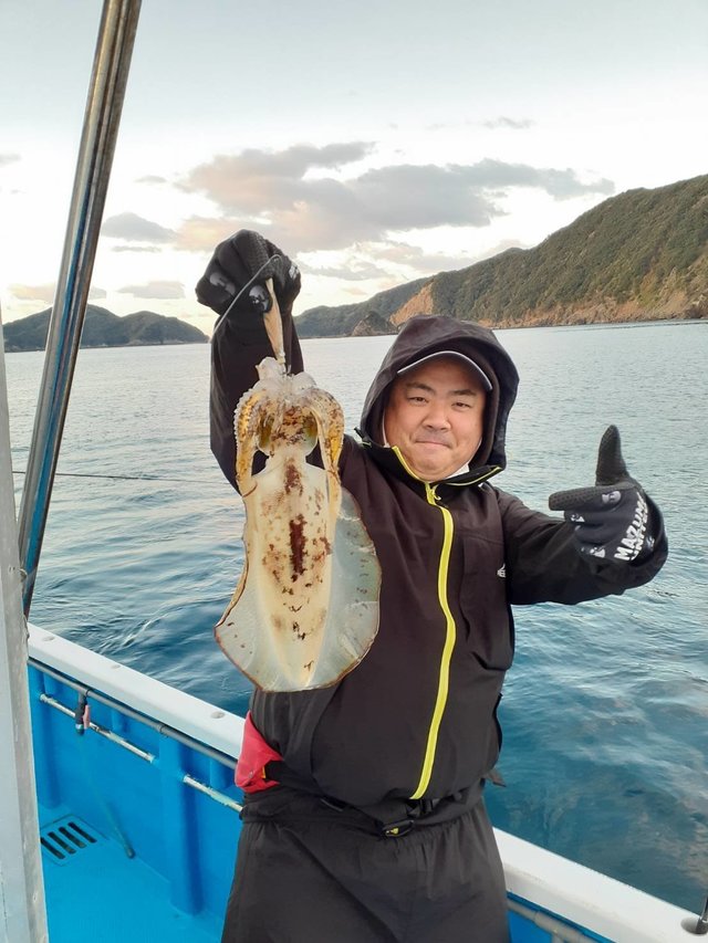 三重県で釣れたアオリイカの最新釣果 釣り情報 23年1月