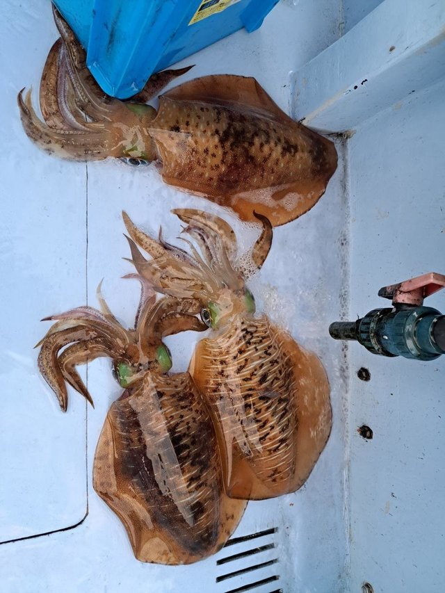 5fmtulnhyd5fvm 5fmtulnhyd5fvm