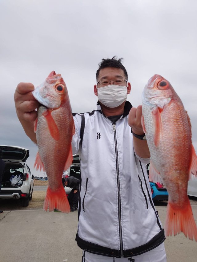 関東で釣れたアカムツの最新釣果、釣り情報【2023年1月】