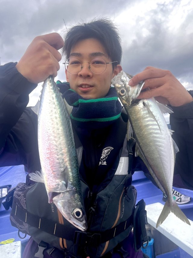 アジ(マアジ)・サバ(ゴマサバ)