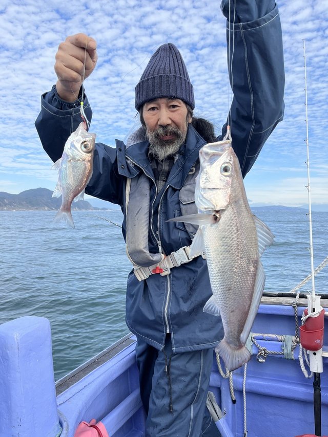 ニベ・シロムツ(オオメハタ)