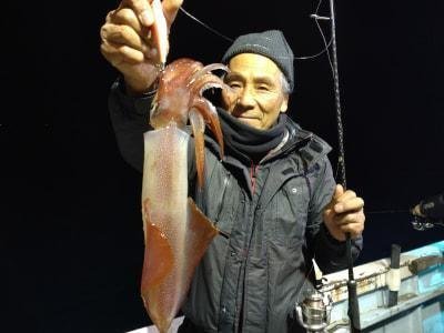 マイカ(ケンサキイカ)