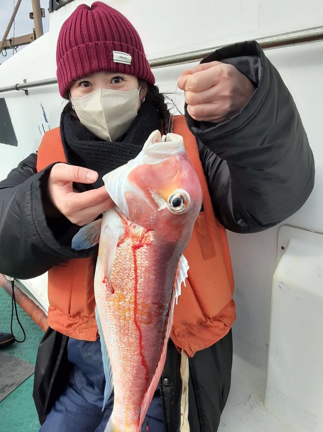 アマダイ(アカアマダイ)