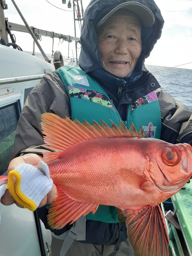 チカメキントキ