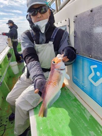 アマダイ(アカアマダイ)