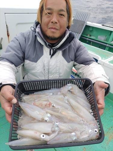 マルイカ(ケンサキイカ)