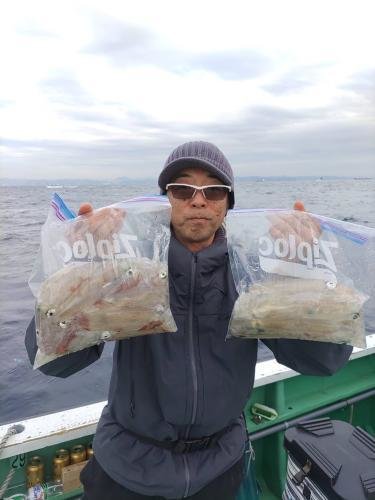 マルイカ(ケンサキイカ)