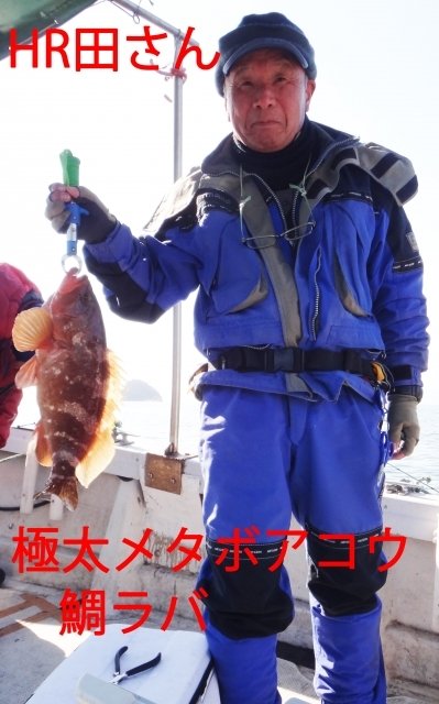 アコウ(キジハタ)