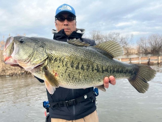 ブラックバス65cm！！の釣果｜2024年2月18日｜ひさの屋（滋賀/）｜釣割