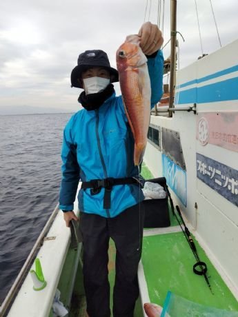 アマダイ(アカアマダイ)