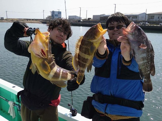 マハタ・アオハタ